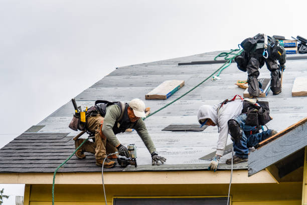 Professional Roof Inspection technician working in Hastings, NY